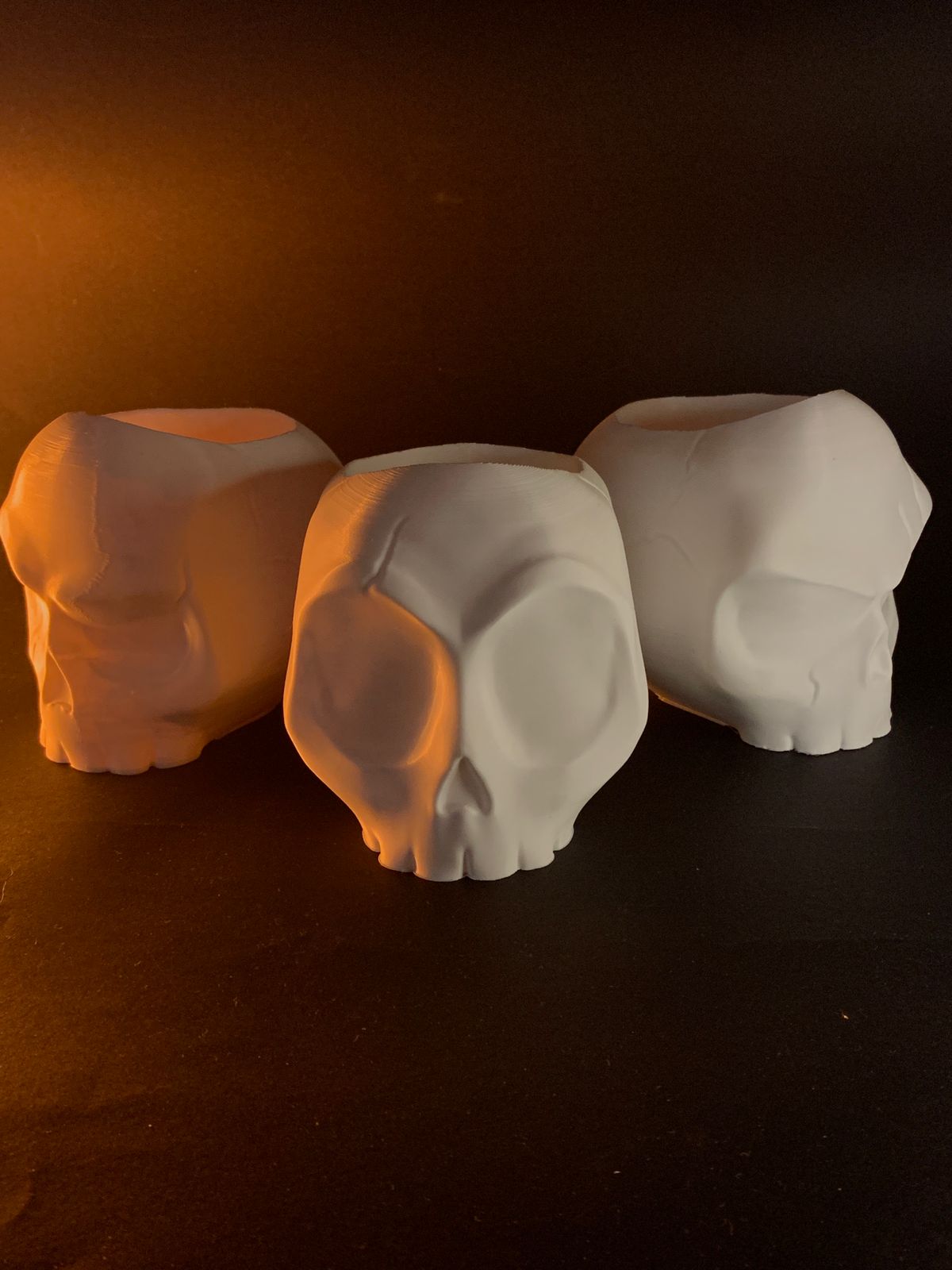 Skull Vases