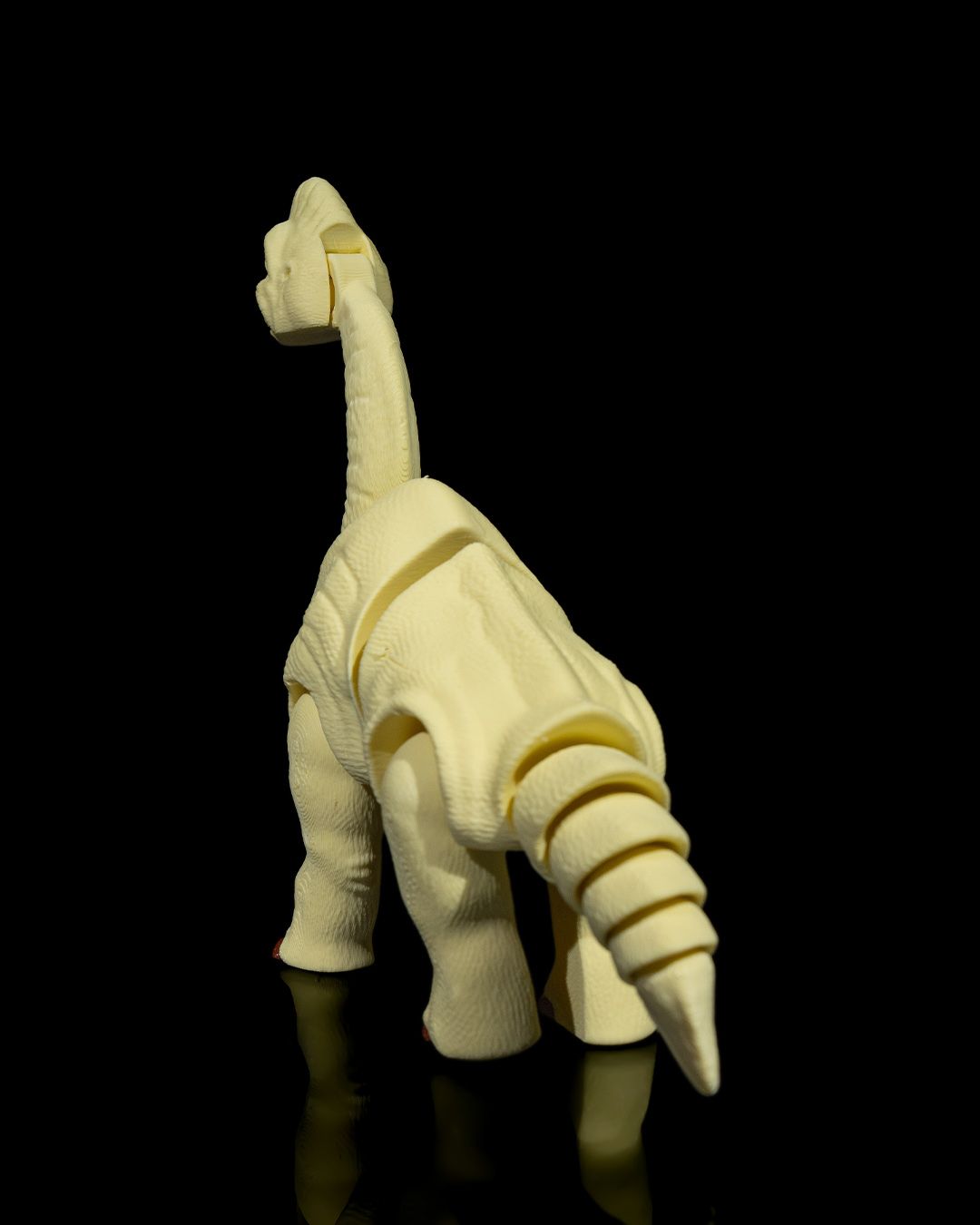 Articulated Brachiosaurus