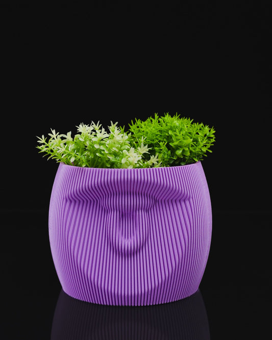 Zoh vase