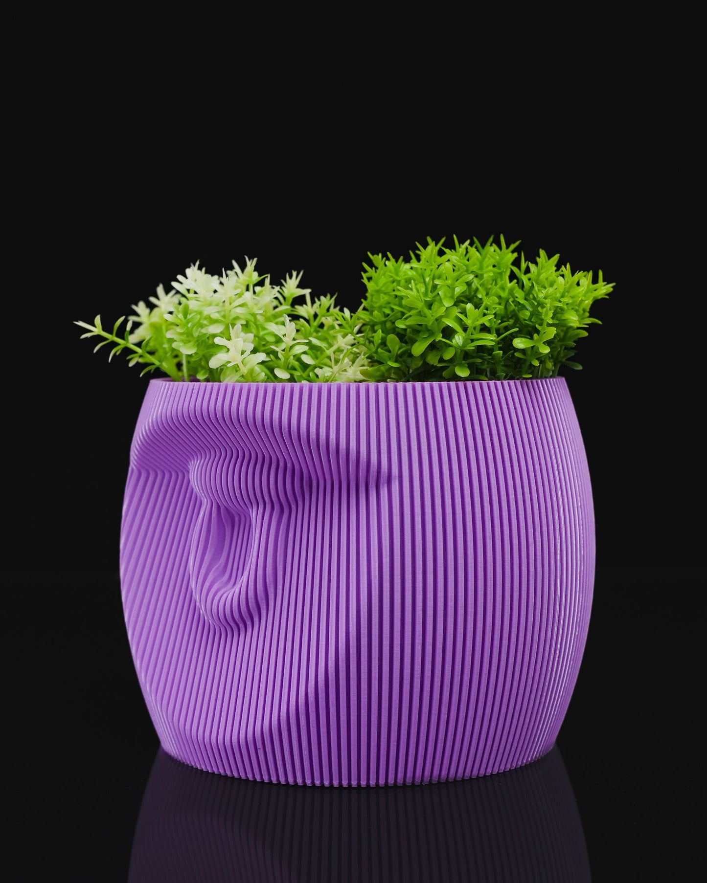 Zoh vase