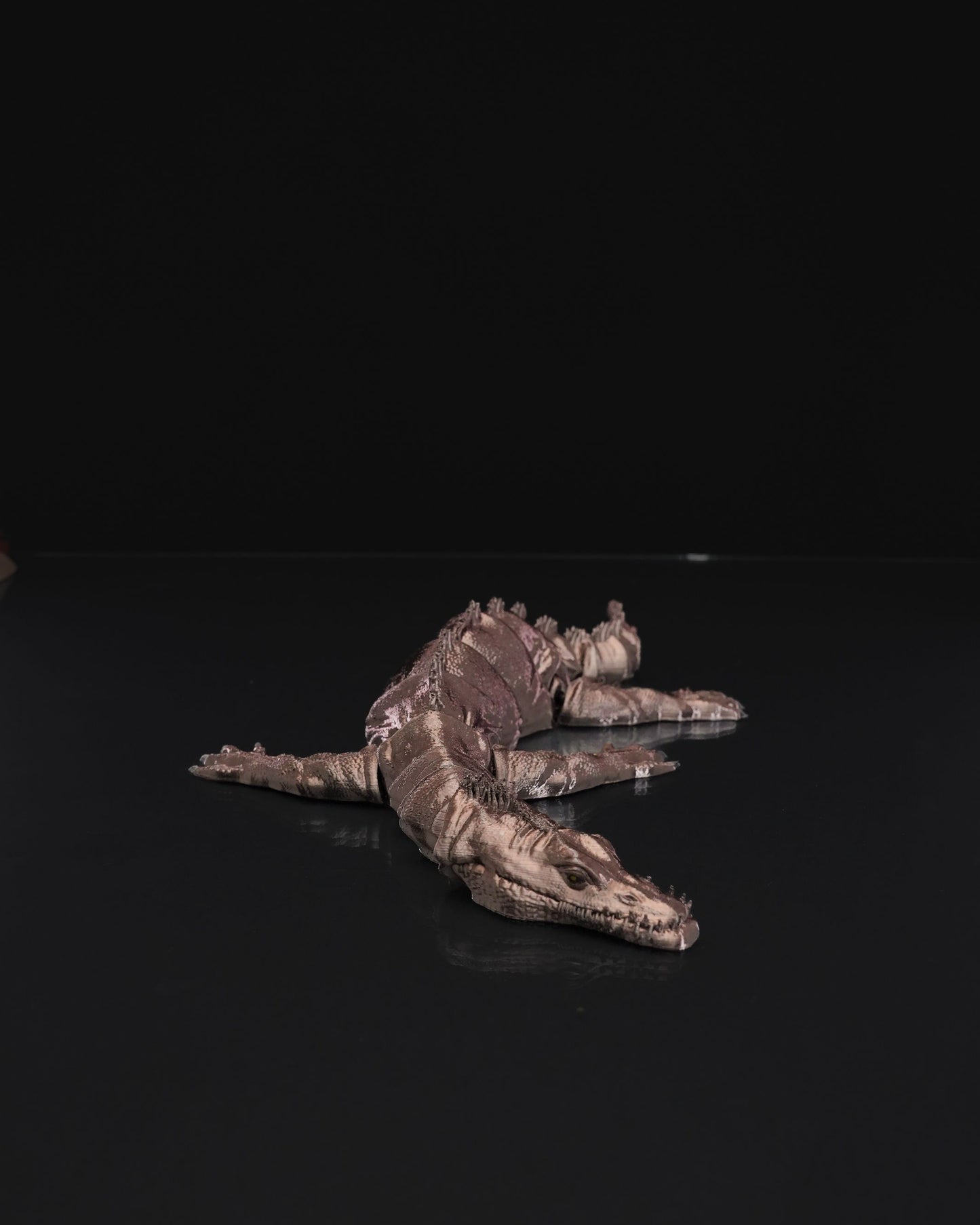 Articulated Nothosaurus