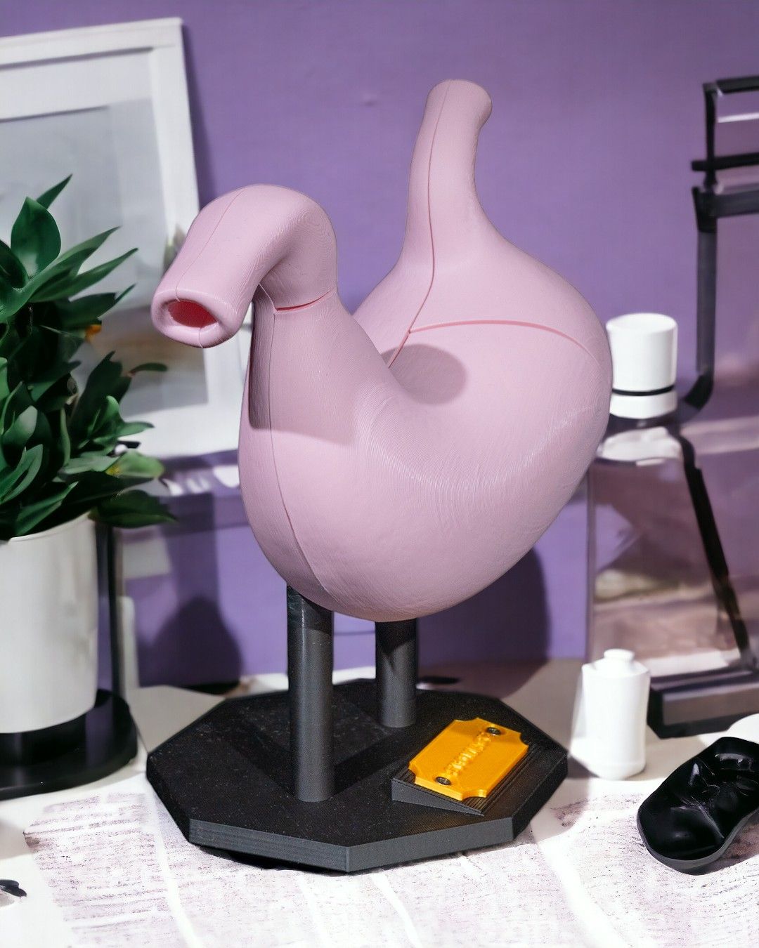 Stomach Anatomical Model