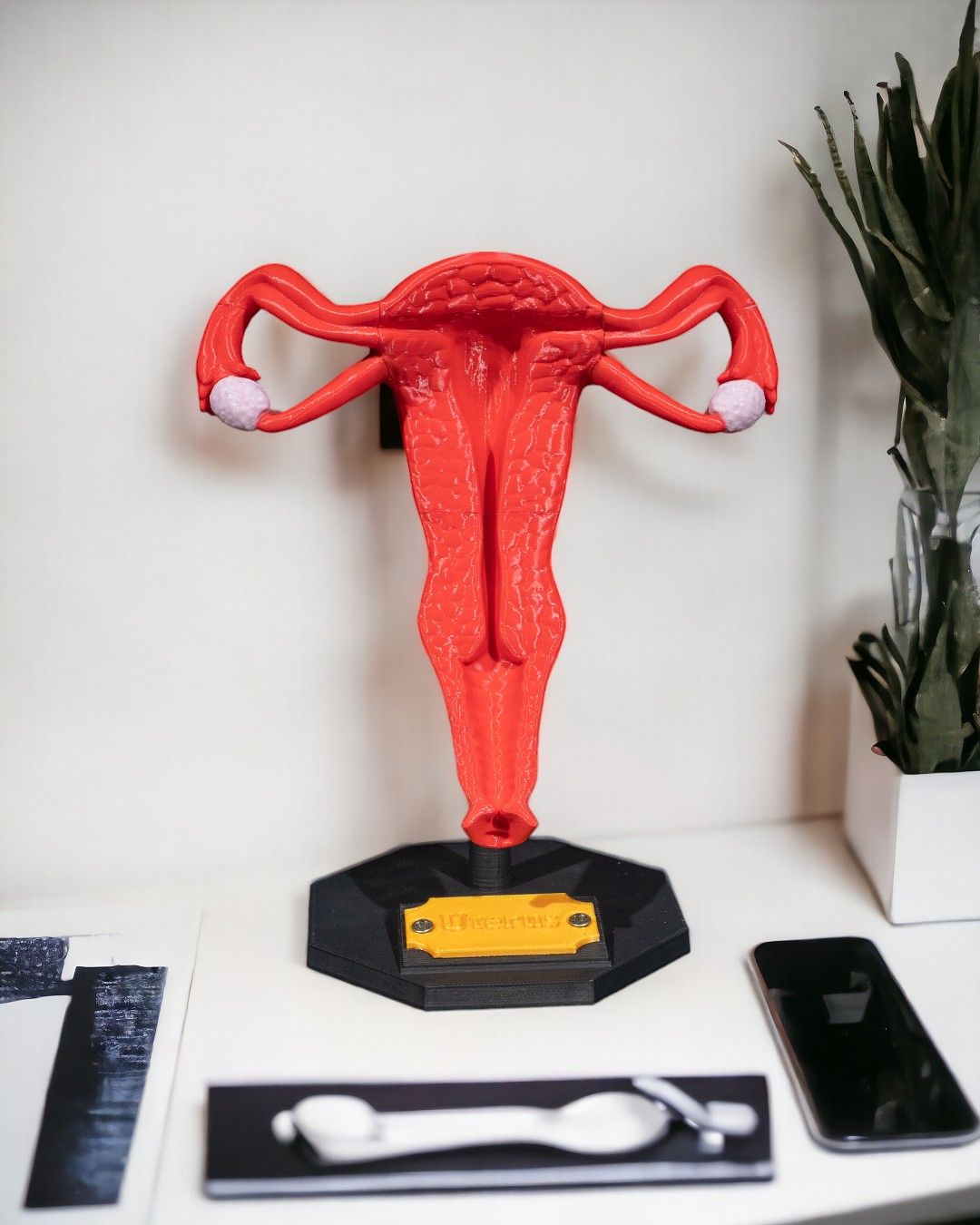 Uterus